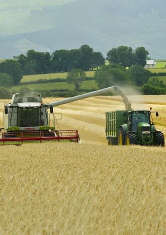 Földhaszonbérleti díj felülvizsgálat